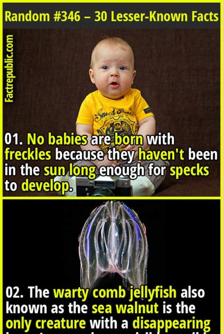 30 Lesser Known Facts You Probably Didn&rsquo;t Know About Ron Perlman