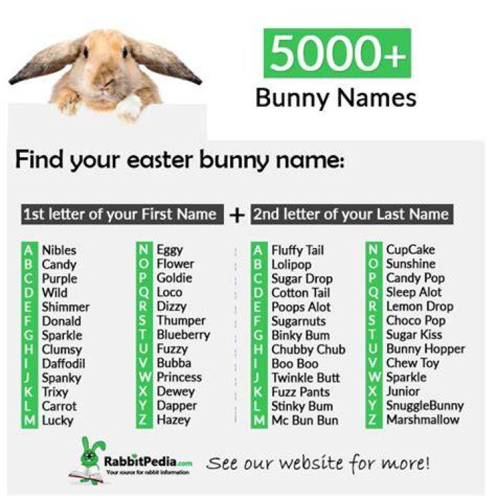 5000+ Most Popular Bunny Names (Top 250 Boy & Girl)