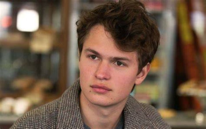Ansel Elgort Denies Sexual Assault Allegations