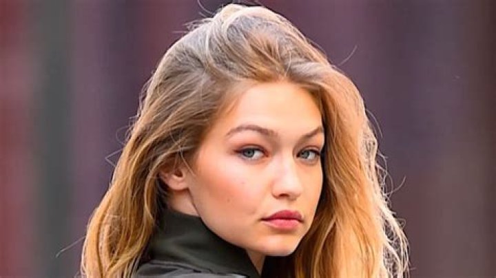 Gigi Hadid Wiki , Age , Famille et Carri&egrave;re 1200Artists Magazine