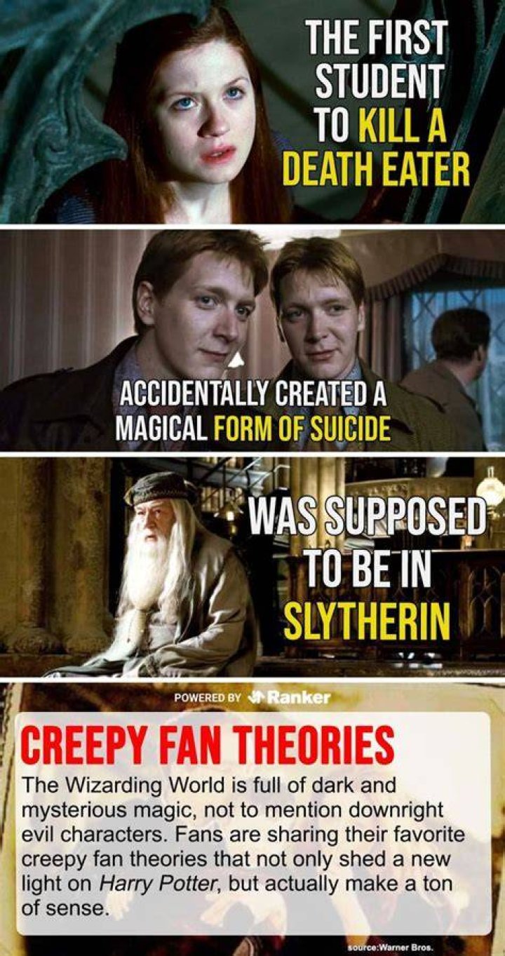 Harry Potter Fan Theory Why Professor McGonagall Was Secretly A