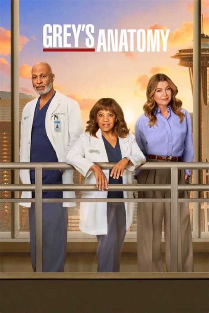 Is Grey's Anatomy Finally Over: The Truth Revealed