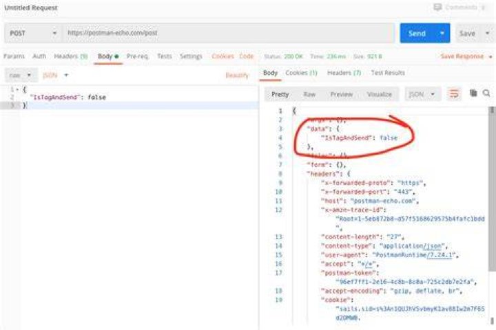 JSON POST request using app sends empty body &middot; Issue 8455
