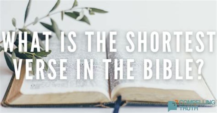 Longest and shortest verse in the Bible Legit.ng
