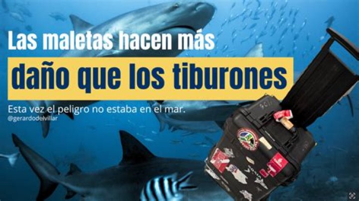 Los Bellingham hacen las maletas el hermano de Jude tiene nuevo equipo