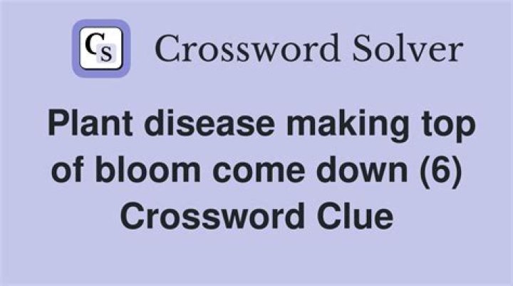 Plant Disease Crossword Clue 6 Letters Caipm
