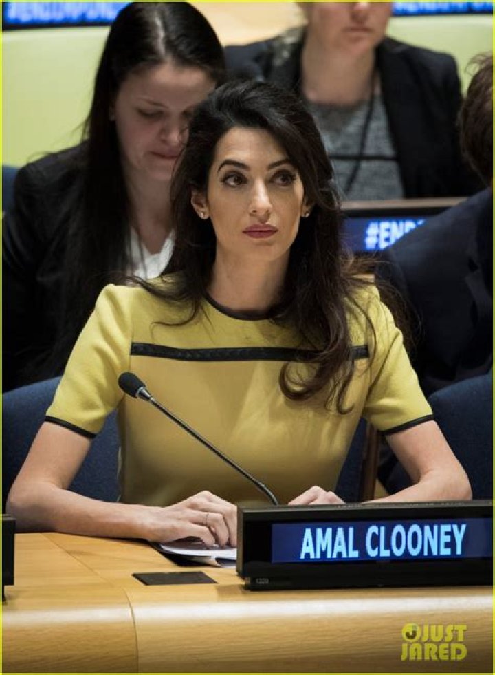 Pregnant Amal Clooney Speaks Out Against ISIS at the UN Photo 3872015
