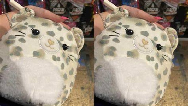 Rarest squishmallow? r/squishmallow