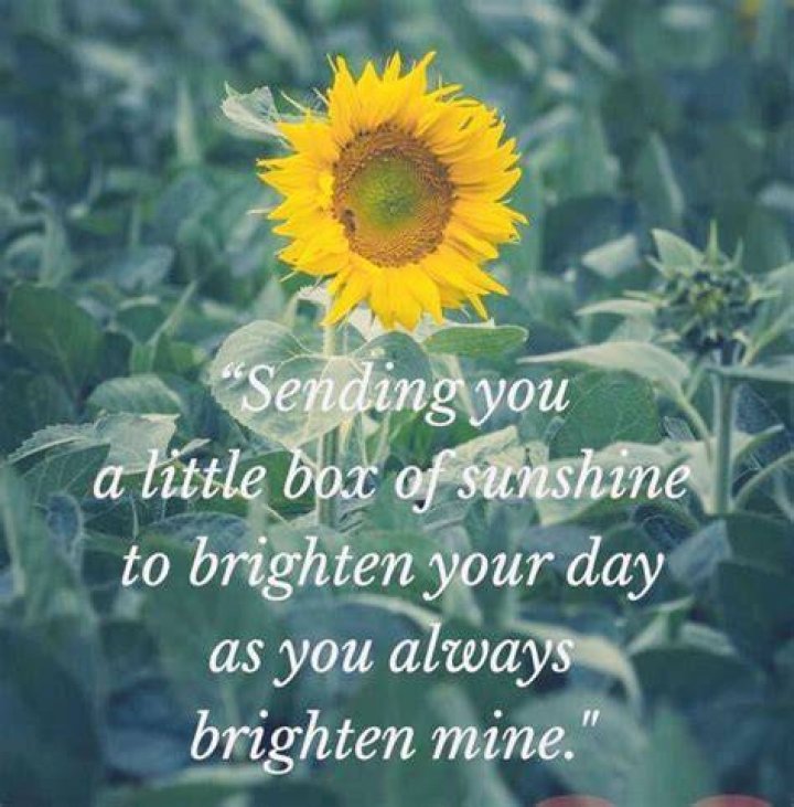 Seeds Of Wisdom To Brighten Your Day