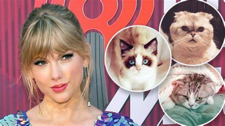 Taylor Swift's Cats And Their Enchanting Names