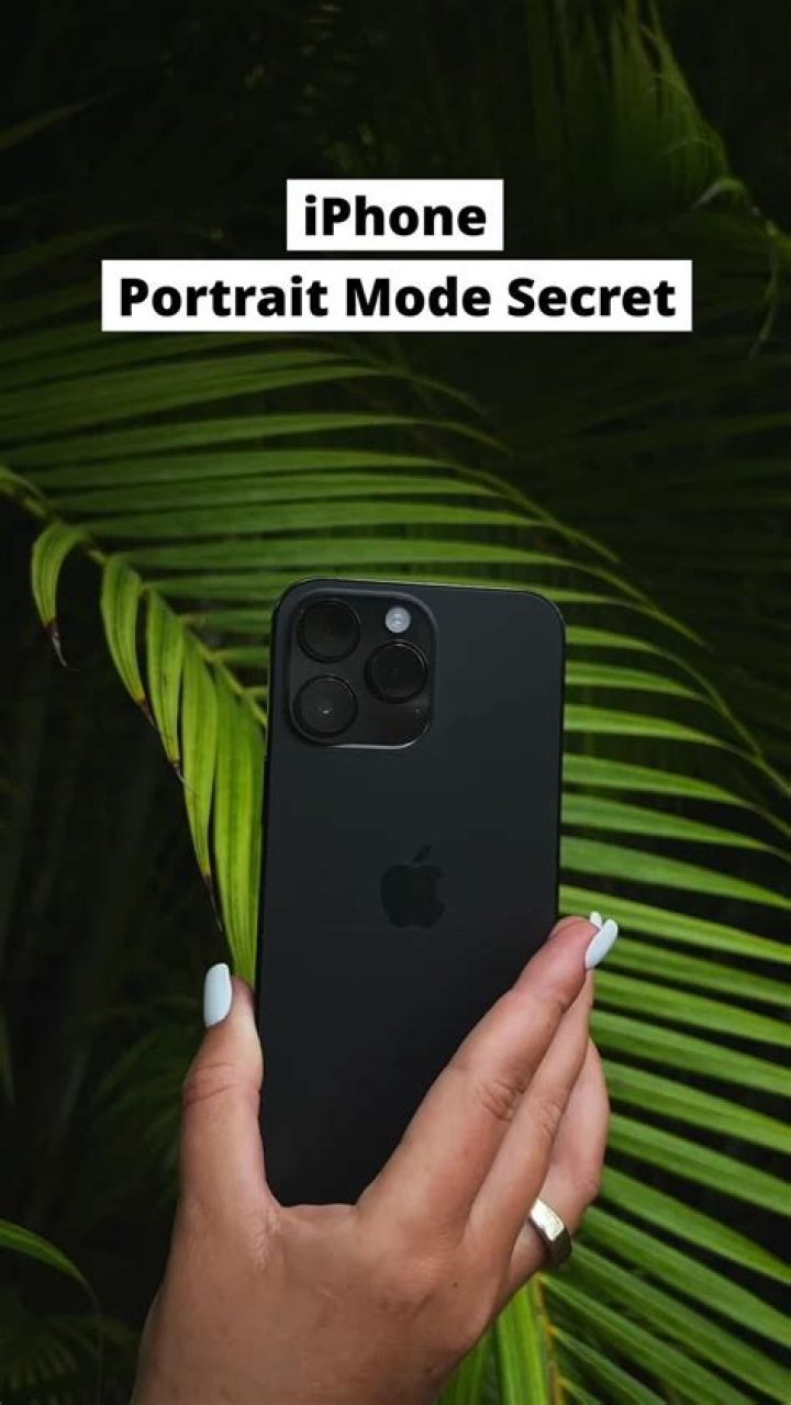 The secret of Best Iphone Games That Don't Require Wifi AnneMarie Betts
