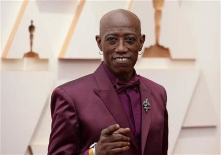 Unveiling The Extraordinary World Of Wesley Snipes: Discoveries And Insights