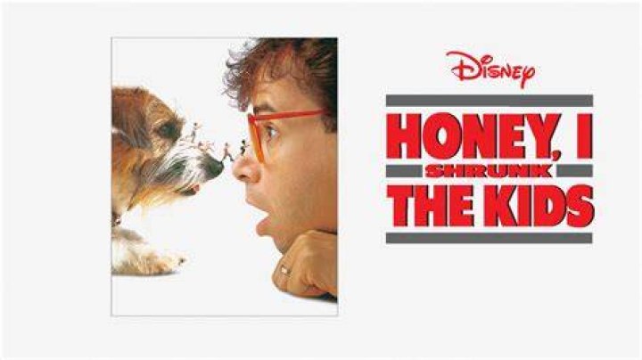 WATCH &lsquo;Honey I Shrunk The Kids&rsquo; Star Rick Moranis Punched In Random
