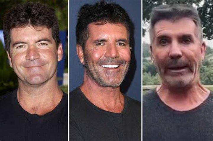What Happened To Simon Cowell's Son? A Deeper Look